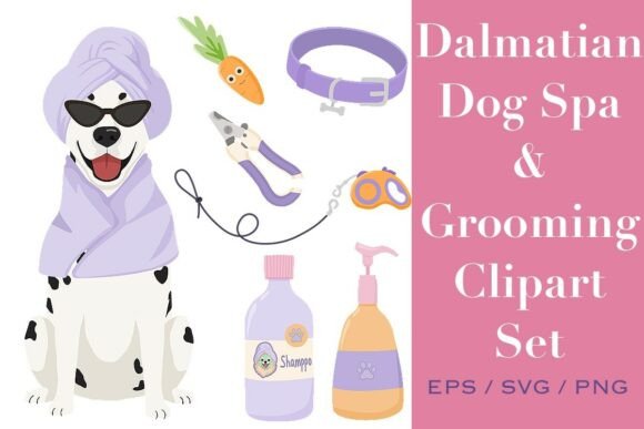 Dalmatian Dog Spa Grooming