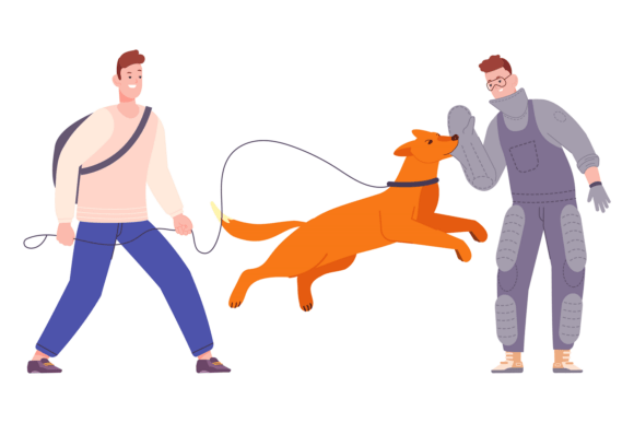 Fight Dog Training. Pet Attack Man Chara