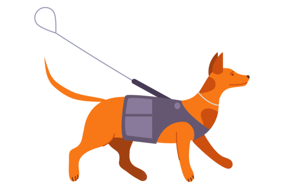 Guide Dog on Leash. Blind Support Animal