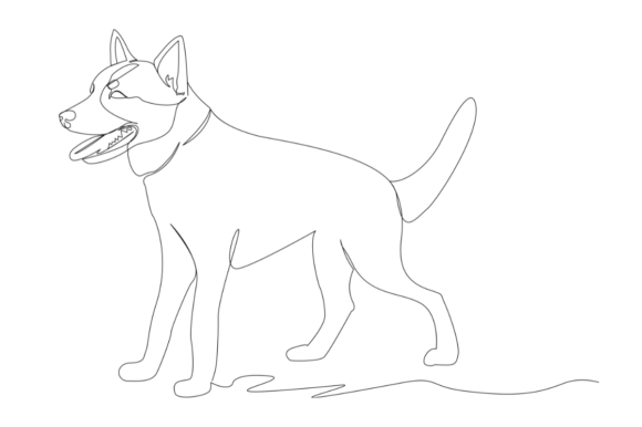 One Line of an Australian Cattle Dog